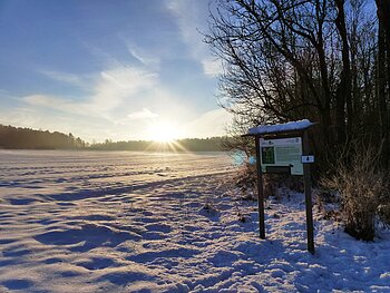 Themenpfad Zukunftswald Monheim - Winterwanderung