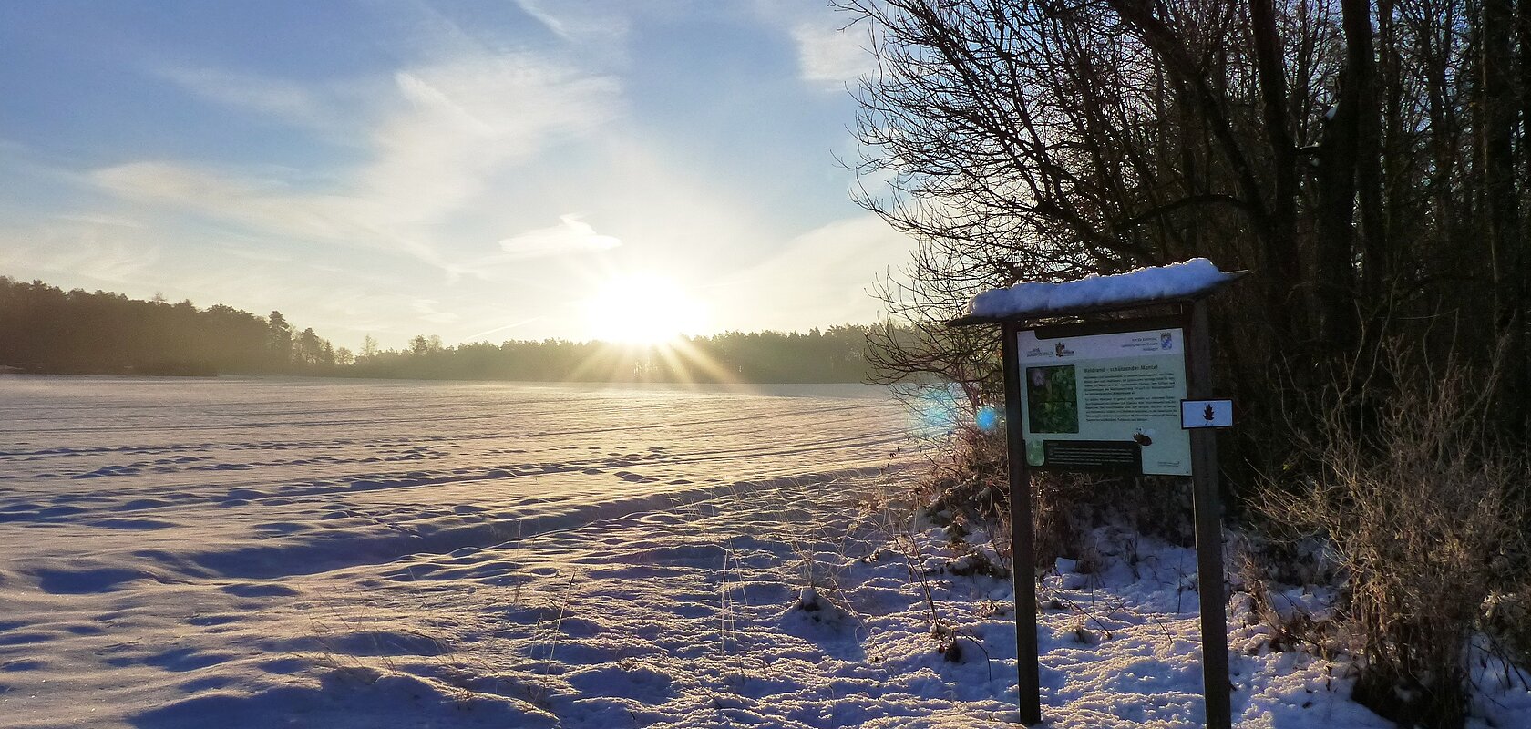 Themenpfad Zukunftswald Monheim - Winterwanderung