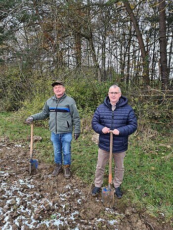 Ersatzaufforstung nach Rodung