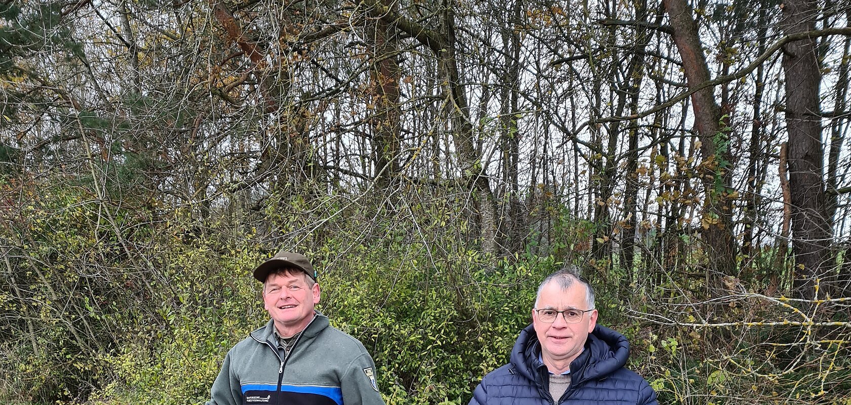 Ersatzaufforstung nach Rodung