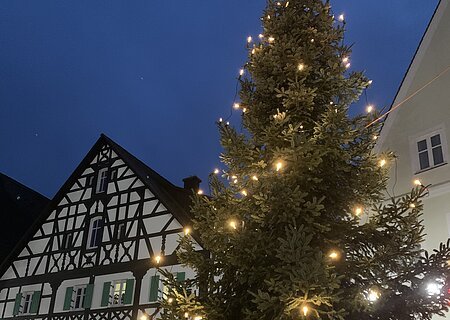 Weihnachtsbaum 2024 Monheimer Innenstadt