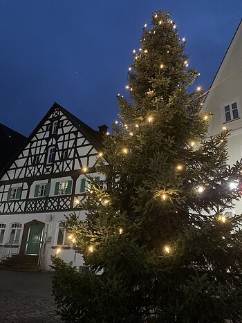 Weihnachtsbaum 2024 Monheimer Innenstadt