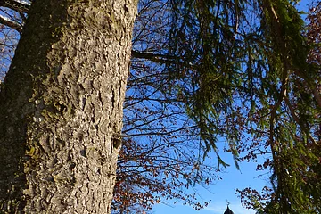 Unterwegs auf dem winterlichen Rundweg 6 der Monheimer Alb