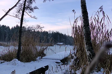 Der Roßköpfleweiher im verschneiten Zukunftswald Monheim