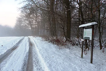 Themenpfad Zukunftswald Monheim - auch im Winter eine Wanderung wert