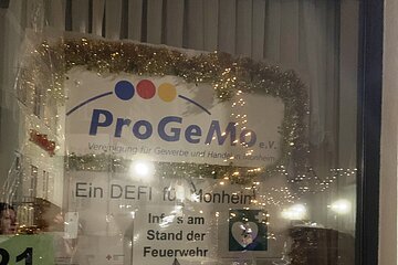 21 Adventskalender-Fenster 2024 - ProGeMo