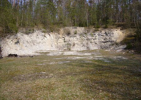 Oberhalb der Felswand eines ehemaligen Steinbruchs stehen viele Bäume. Vor der Felswand ist eine Wiese.