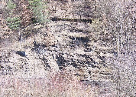 An einem Hang sind unter Gras mehrere Felsen zu erkennen. Oberhalb stehen mehrere junge Bäume.