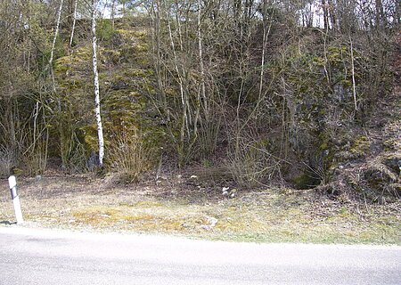 Neben einer Straße befindet sich eine bewachsene Felswand mit Moos und kleinen Bäumen.