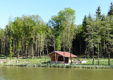 Fischereilehrhütte in Monheim Fischereilehrhütte in Monheim mit rotem Dach am Ufer eines Weihers, umgeben von Bäumen und Wald im Hintergrund.