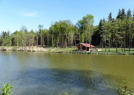 Roßköpfleweiher (Waldsee) Monheim Ein Weiher in Monheim mit einer Holzhütte am Ufer, umgeben von einem Wald unter blauem Himmel.