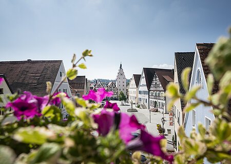 Aussicht aus dem Rathaus auf die Historische Monheimer Innenstadt Blumen unscharf im Vordergrund, dahinter eine Straße einer Altstadt mit Fachwerkhäusern und einem zentralen Turm-Gebäude mit einer Uhr.