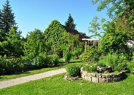Kreislehrgarten Monheim Ein Kreislehrgarten mit verschiedenen Pflanzen und Bäumen, einem Steinbeet rechts im Vordergrund, grünem Rasen und einem mit Efeu bewachsenen Haus im Hintergrund, unter blauem Himmel. Ein Schotterweg führt durch den Garten.