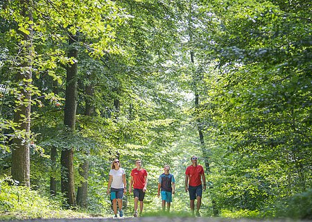Themenpfad Zukunftswald Monheim Vier Personen spazieren auf einem Waldweg, umgeben von grünen Bäumen.